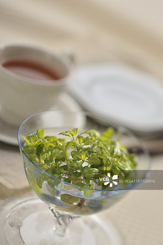 维罗妮卡和茶具图片素材