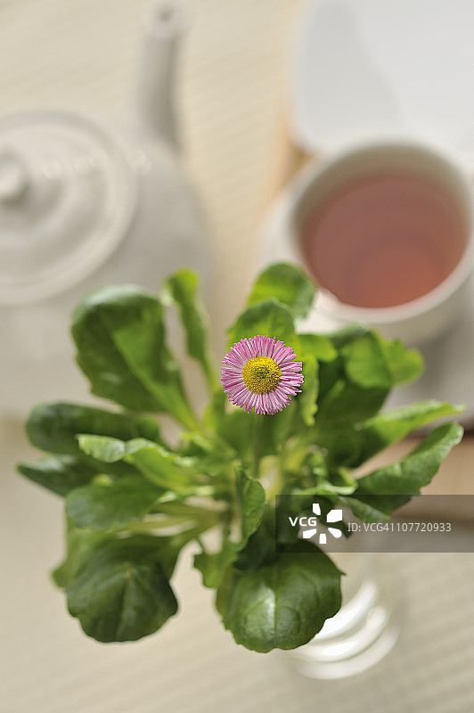 雏菊和茶具图片素材