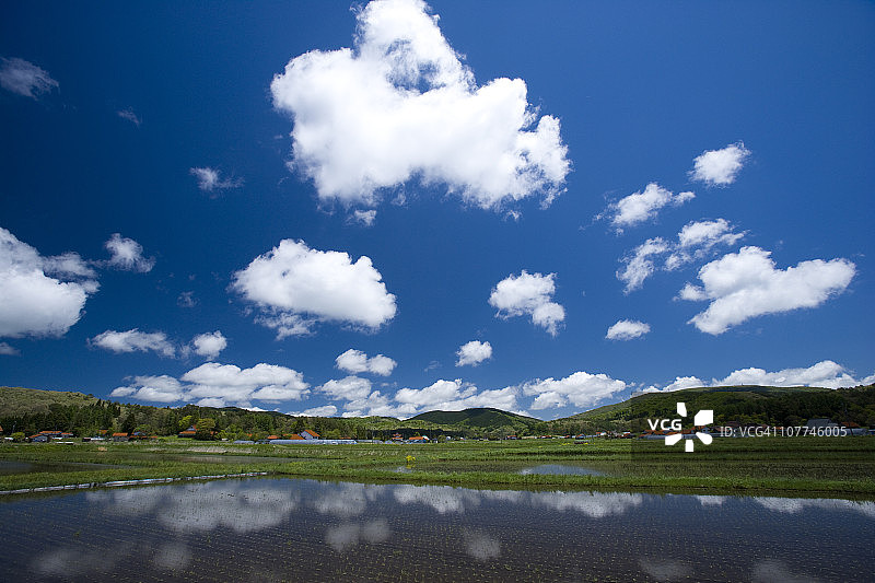 稻田与蓝天图片素材