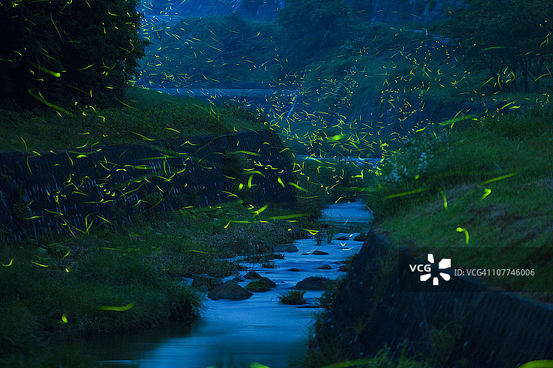 萤火虫与河流图片素材
