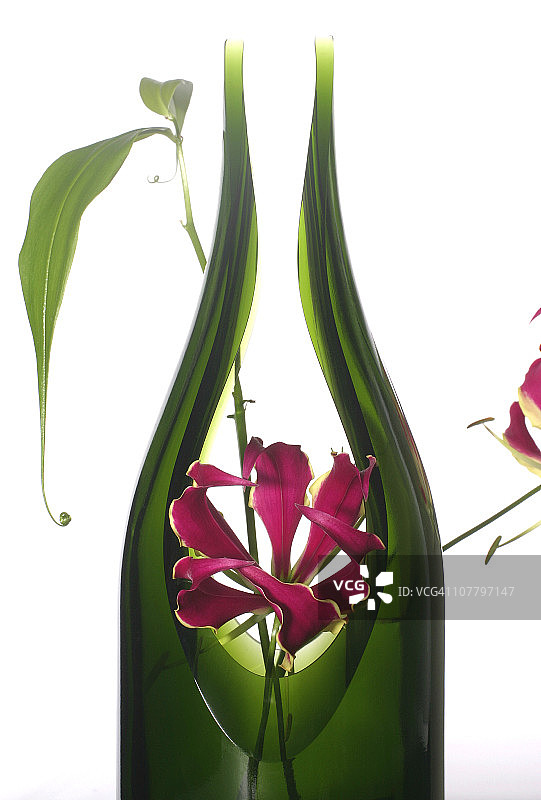 瓶中的火焰百合图片素材