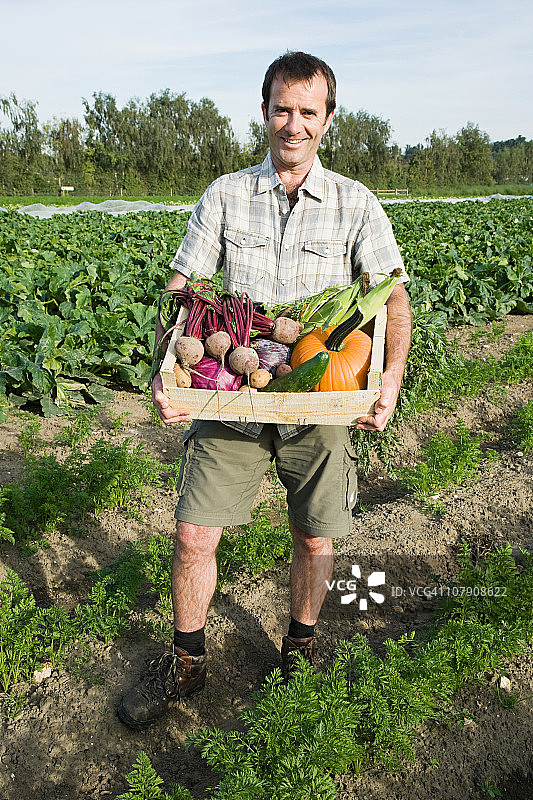 男人拿着装满新鲜蔬菜的木箱图片素材