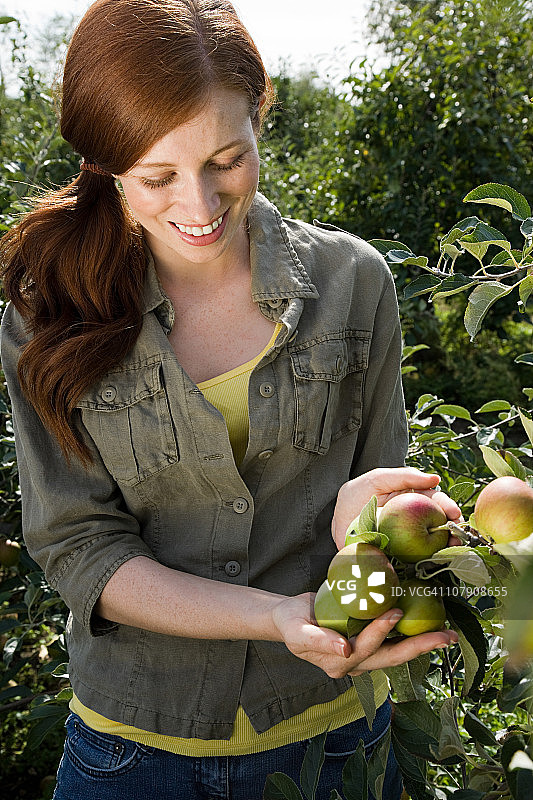 年轻女人在田野里看苹果图片素材