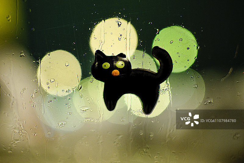 窗户上的黑猫图片素材
