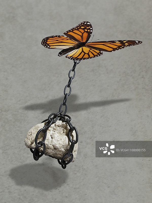 蝴蝶举起带链条的石头图片素材