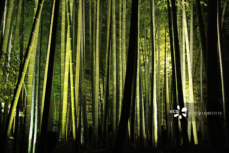 高台寺竹林图片素材