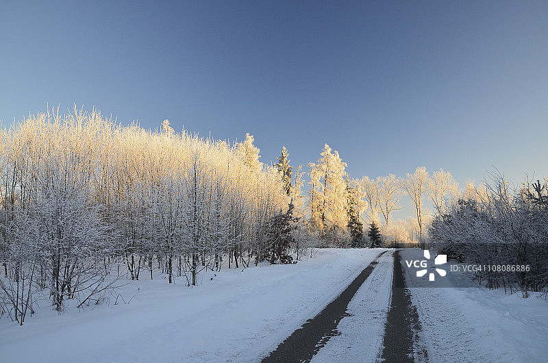冬季风景，黑森林图片素材