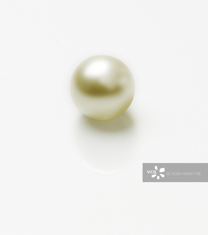 珍珠和牡蛎壳图片素材
