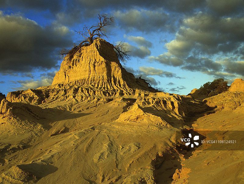 澳大利亚蒙戈国家公园德塞特悬崖顶上的树木图片素材