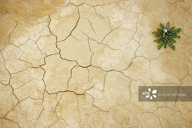 生命的力量图片素材