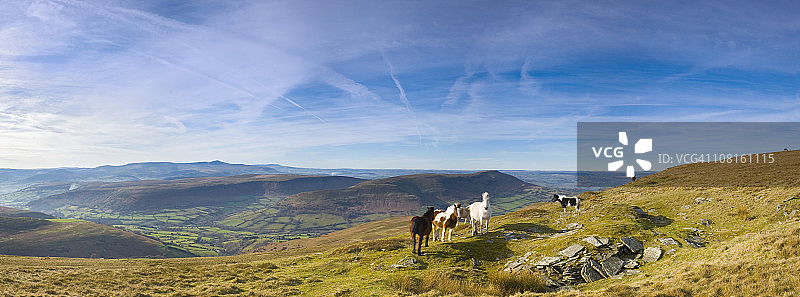 山间自由漫步的骏马图片素材