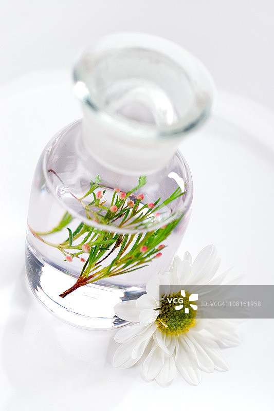 植物精油图片素材