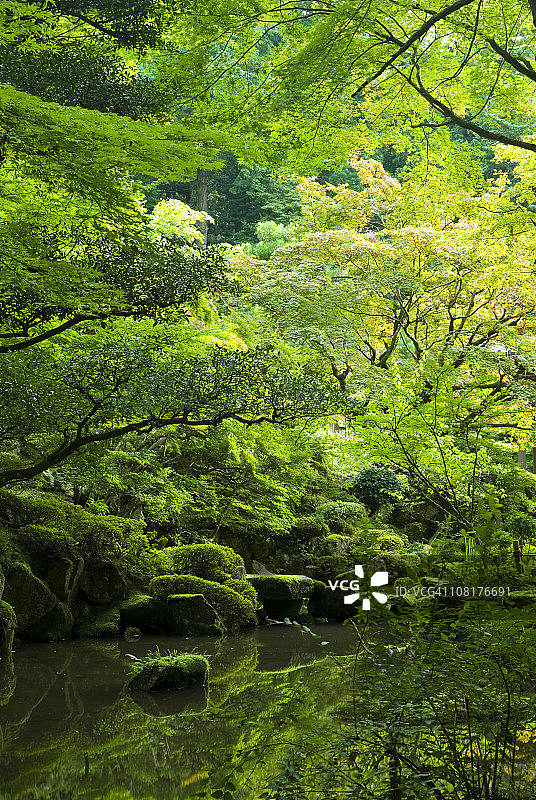 日式花园与池塘图片素材