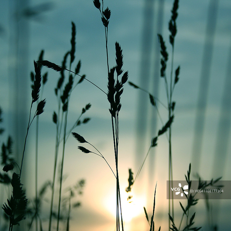 暮色中图片素材