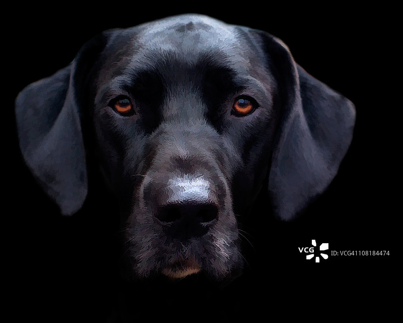 了不起的盖茨比绘画作品图片素材