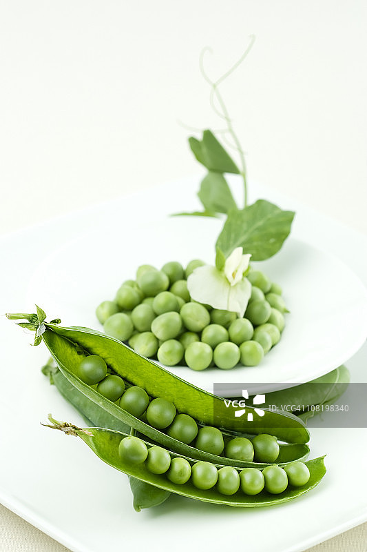 从豆荚中取出的青豆图片素材