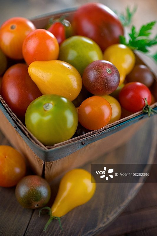 祖传番茄图片素材