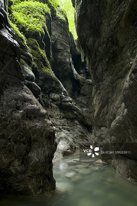 阳光下覆盖着青草和苔藓的峡谷照片图片素材
