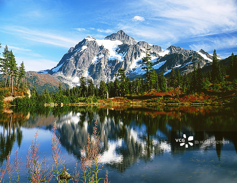 自然美图片素材