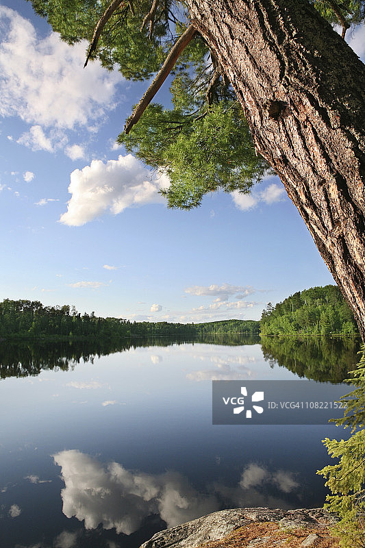 荒野湖泊美丽的夏日夜晚图片素材
