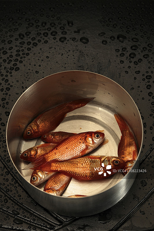 罐装鱼图片素材