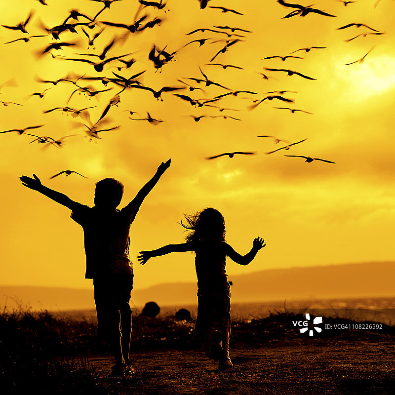 两个孩子追逐海鸥图片素材