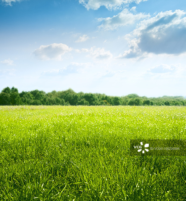 草地上的春天图片素材