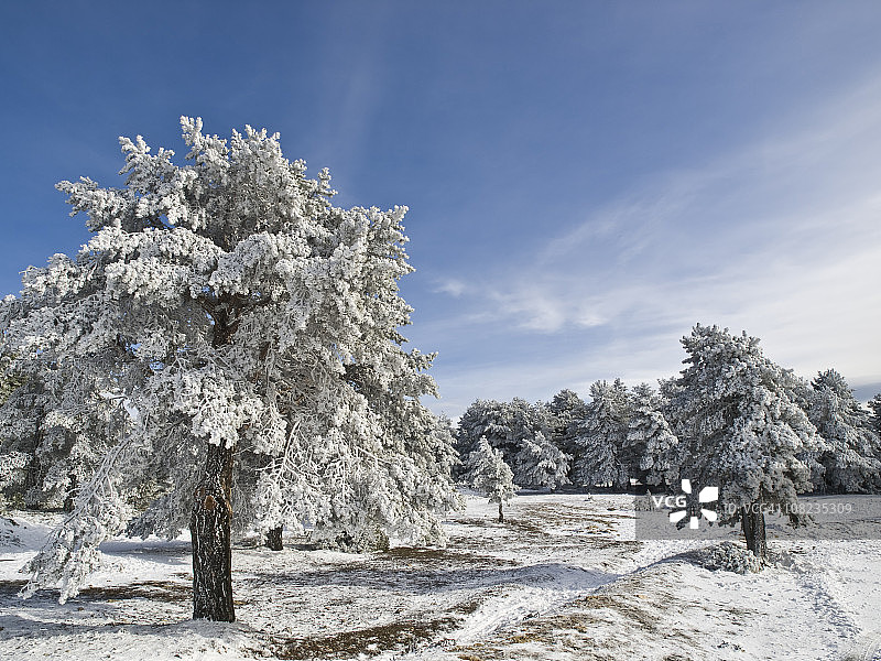 冬天的风景图片素材