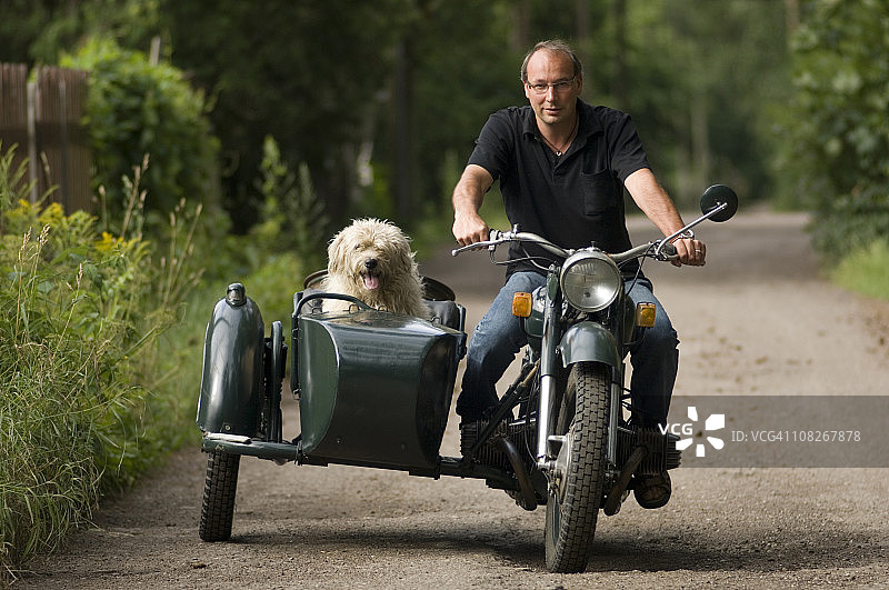 男人和他的狗骑摩托车图片素材