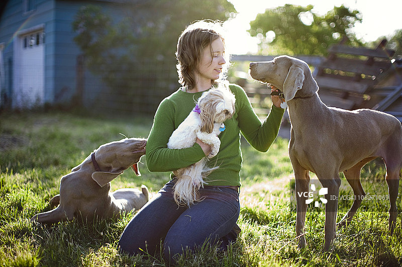 年轻女人和她的魏玛犬宠物狗图片素材