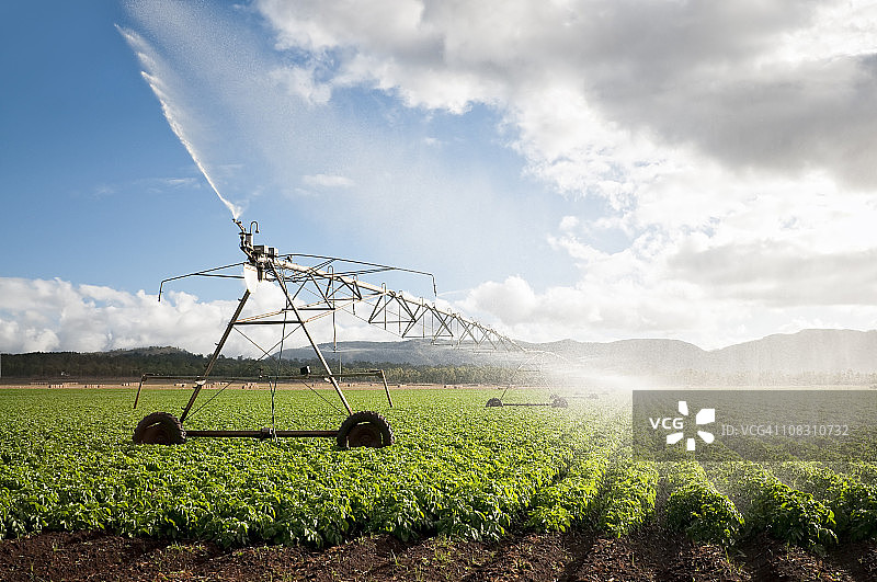 农业：农作物灌溉图片素材