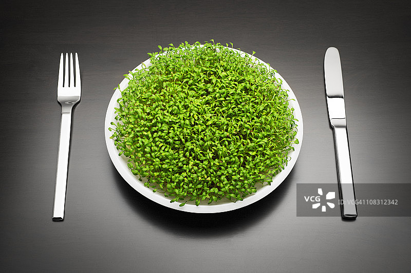 有机食品图片素材