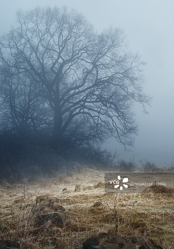 朦胧的秋季景色图片素材