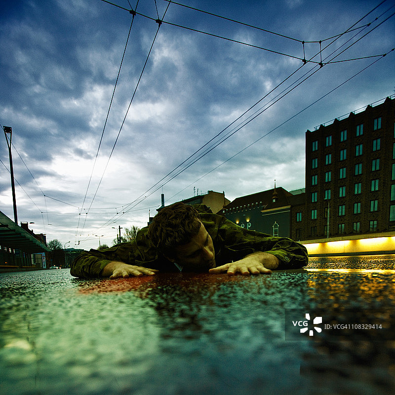 被车辆碾压的动物尸体图片素材