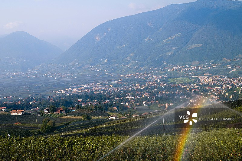 意大利南蒂罗尔温施高，苹果园与村庄景色图片素材