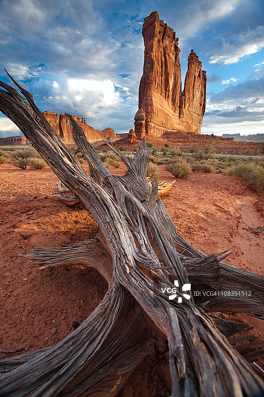 犹他州拱门国家公园内的管风琴和枯木图片素材