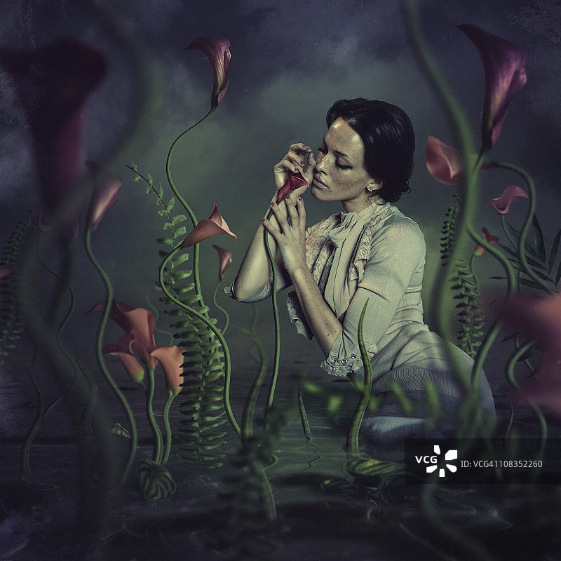 水生花卉之美图片素材