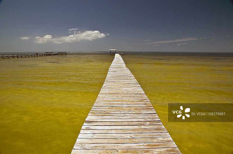 佛罗里达州松树岛图片素材