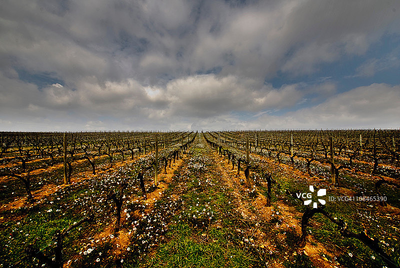 未定义的里奥哈/里奥哈无限图片素材
