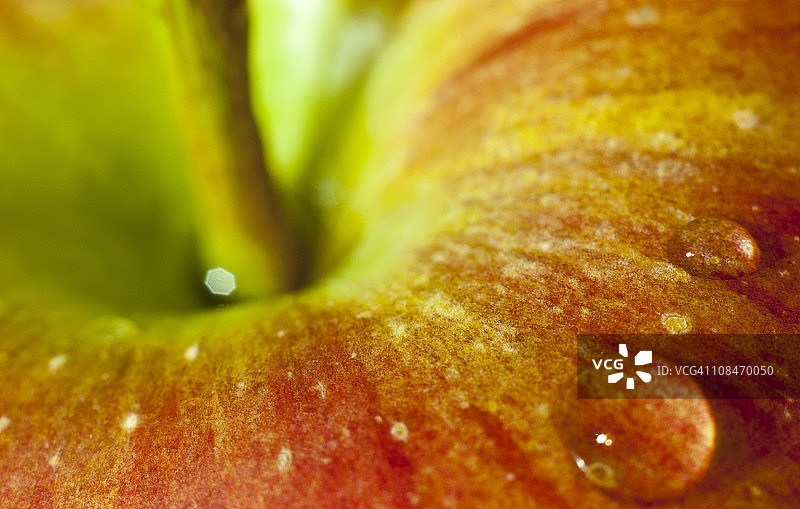 皇家嘎啦苹果或麦金托什苹果图片素材