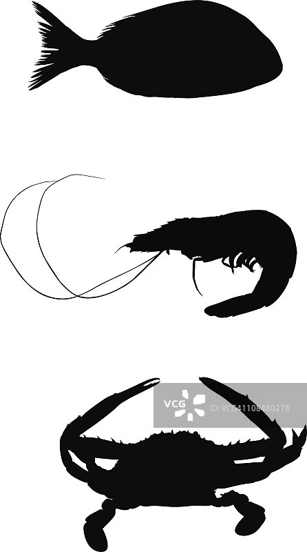 海洋生物图片素材