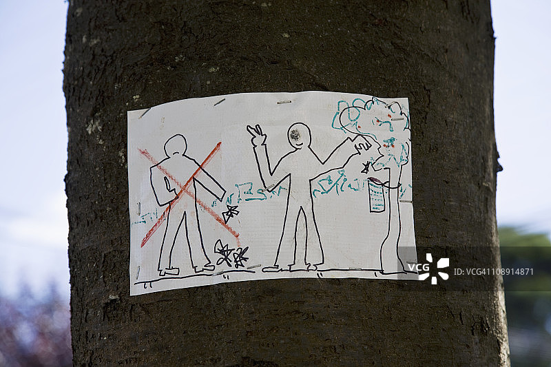 树上的图纸细节图片素材