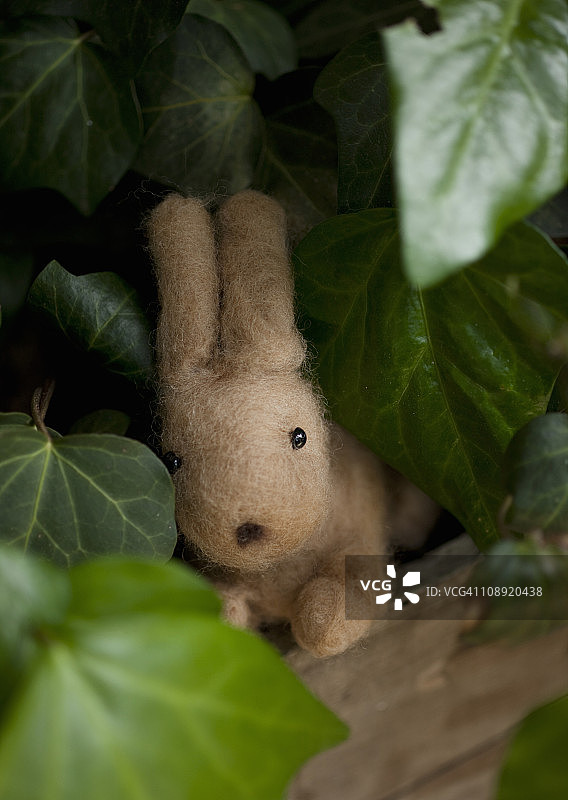 填充玩具兔子图片素材