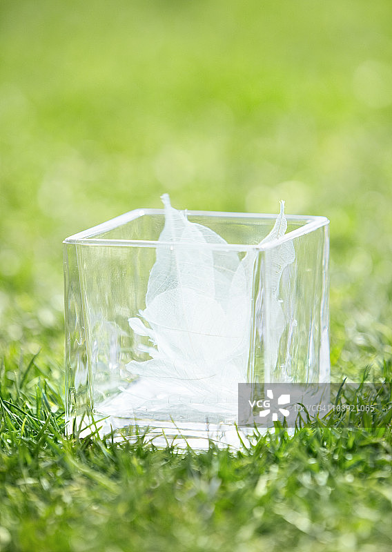 树叶的馈赠图片素材