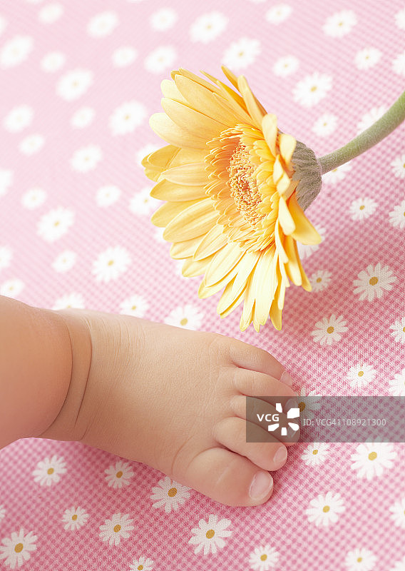 宝宝的脚图片素材