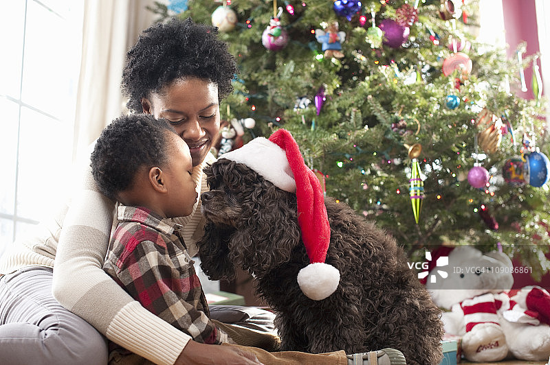 母亲和戴着圣诞帽的蹒跚学步的孩子与小狗图片素材