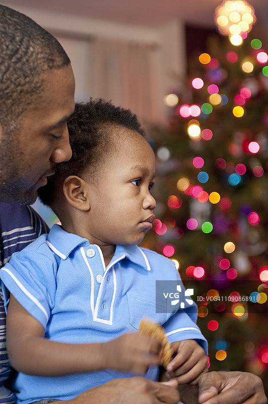 父亲和蹒跚学步的儿子在圣诞树前图片素材