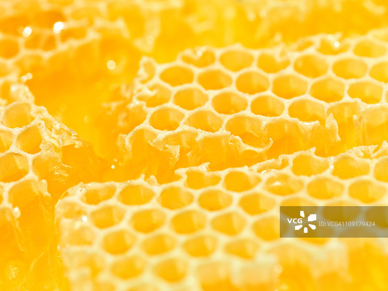 黄色蜂巢特写图片素材