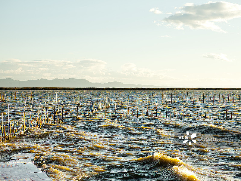 萨莱尔图片素材