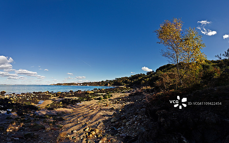 托特兰湾的阳光图片素材